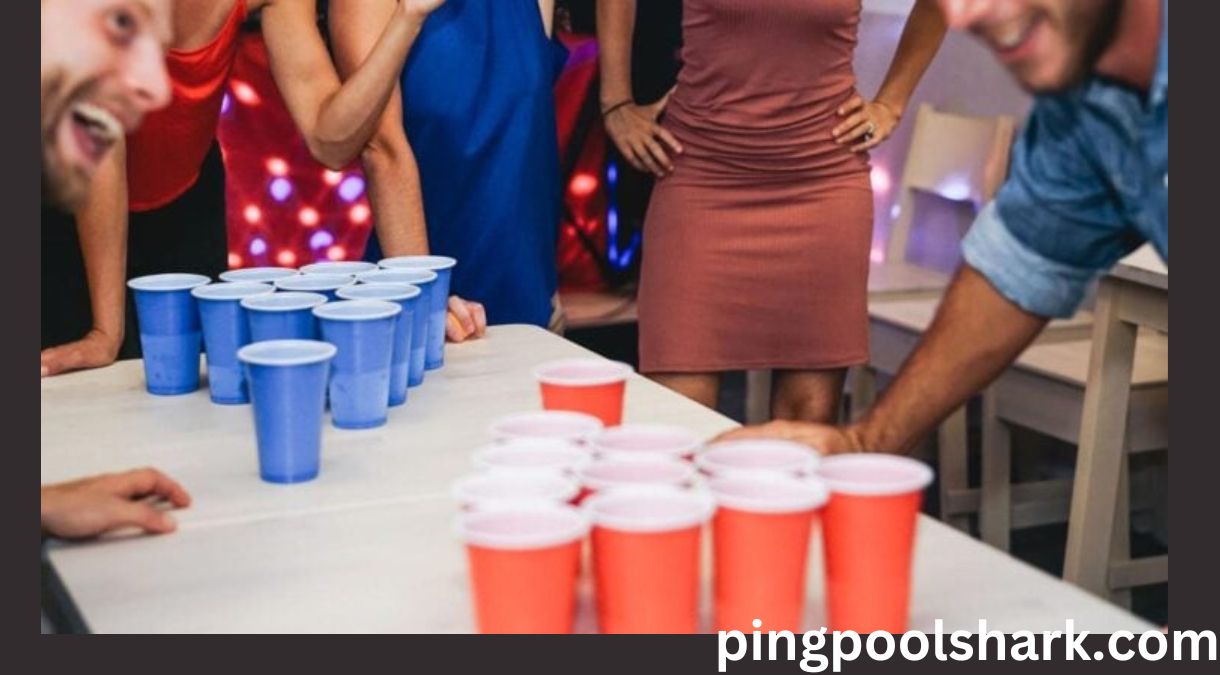 beer pong playbook :rules and instructions