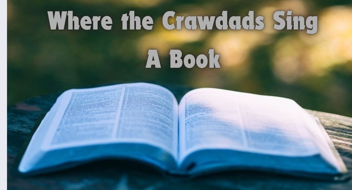 Where the Crawdads Sing A Book Resilience