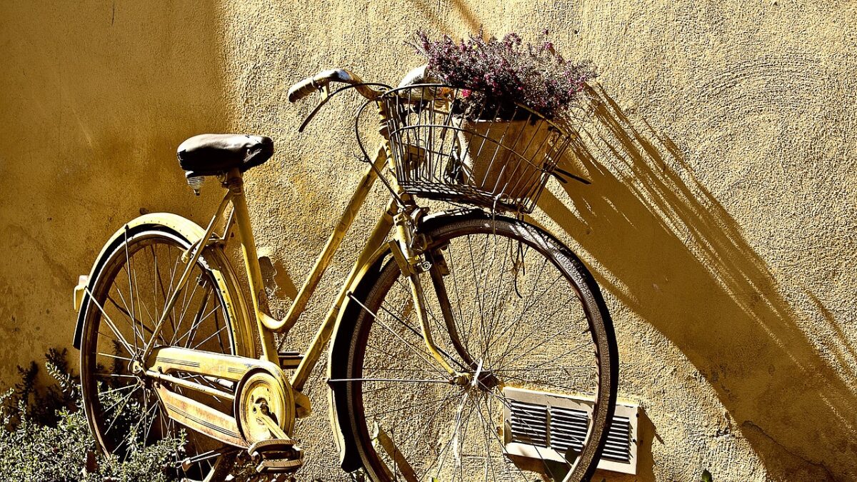 bicycle basket